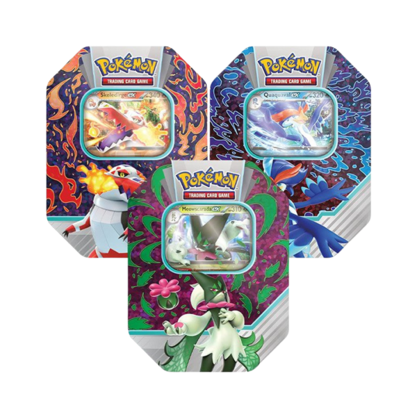 Paldea Partners ex Tin