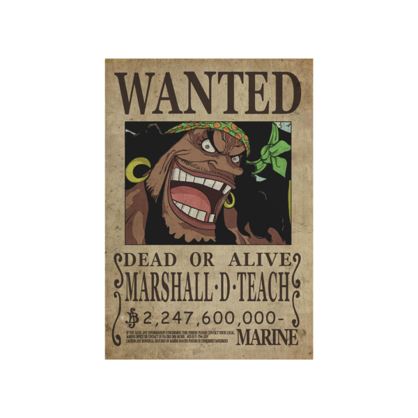 One Piece - Wanted Blackbeard Poster Chibi (52x38cm)